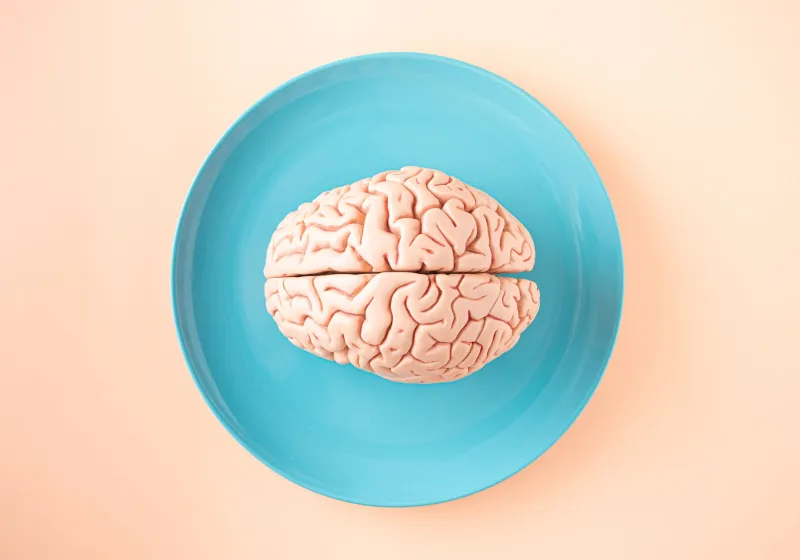 The Abandoned Frontier: Why Biotech Stopped Betting on the Brain