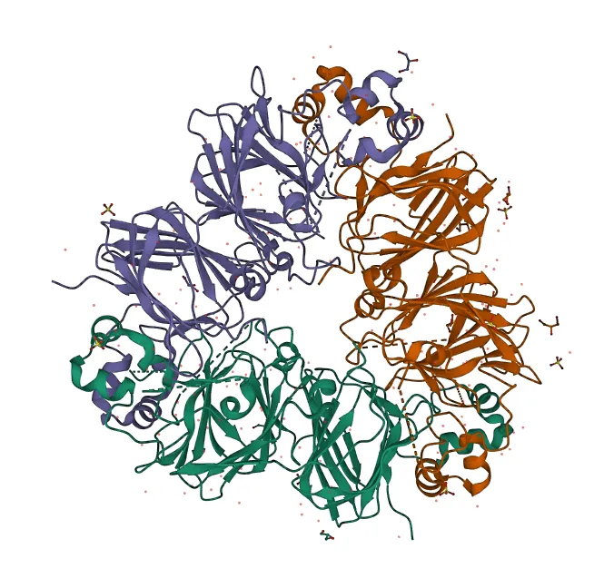 From Sequence to Structure: How AI Is Rewriting the Rules of Drug Discovery