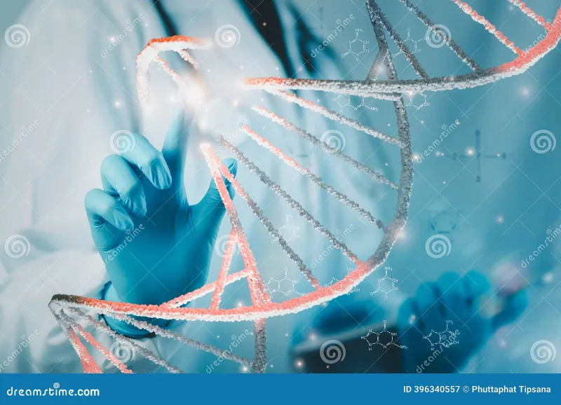Beyond the Cut: How Base Editing, Prime Editing, and Epigenetic Tools Are Redefining Gene Correction