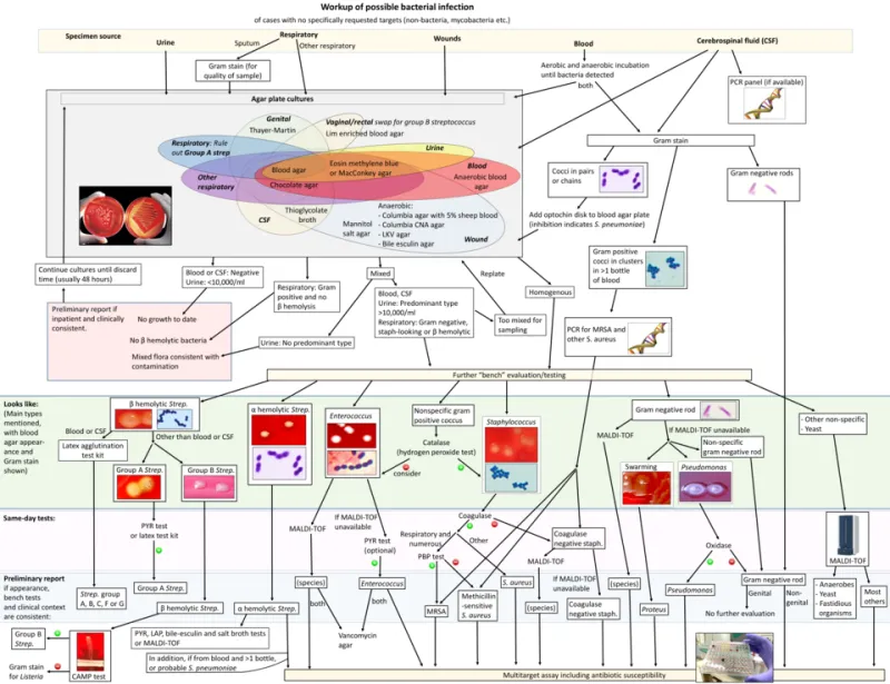 Prescription for Bankruptcy: The Strange Economics That Made Miracle Drugs Worthless